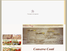 Tablet Screenshot of conserveconti.com